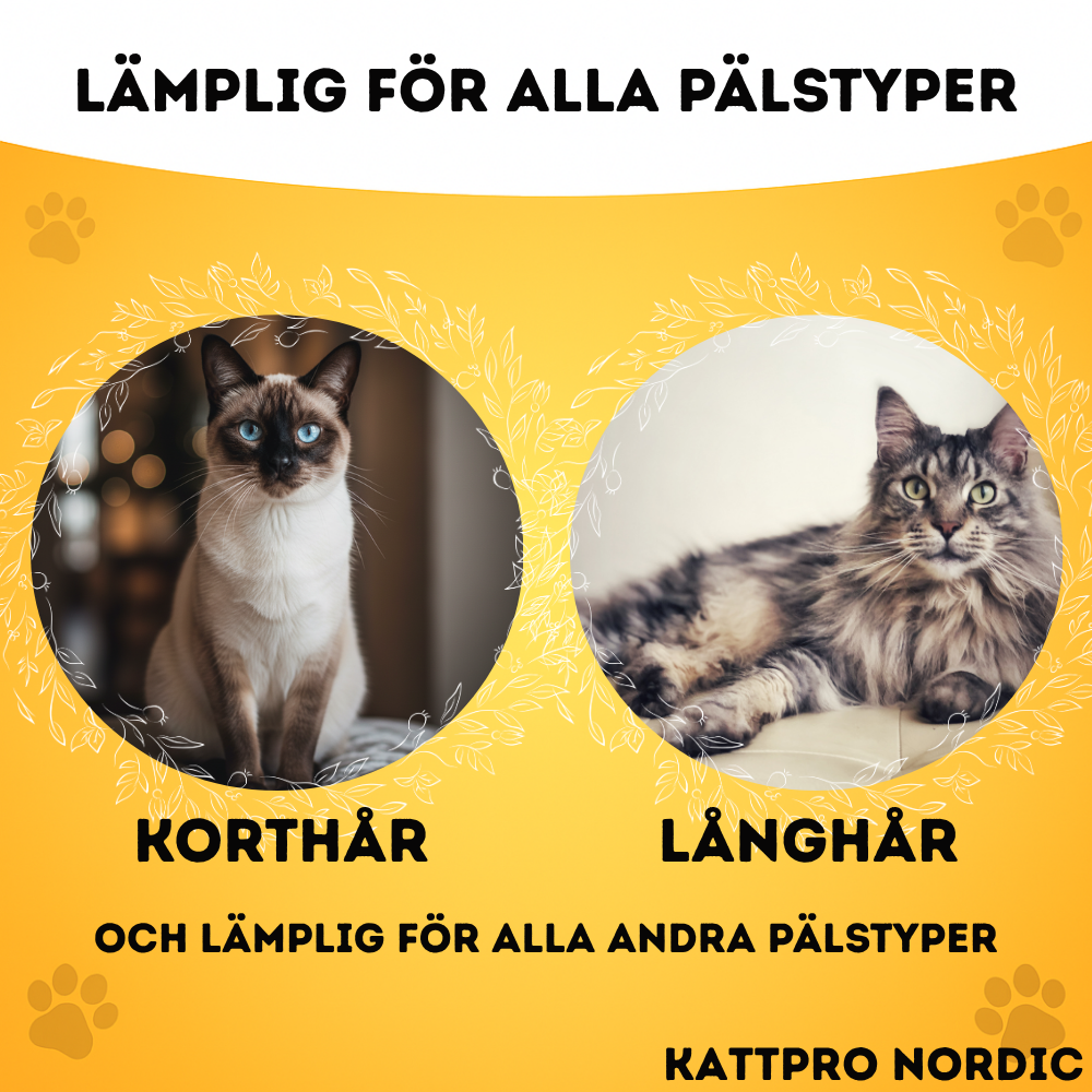 KattPro Nordic - PälsBorste